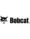 BOBCAT